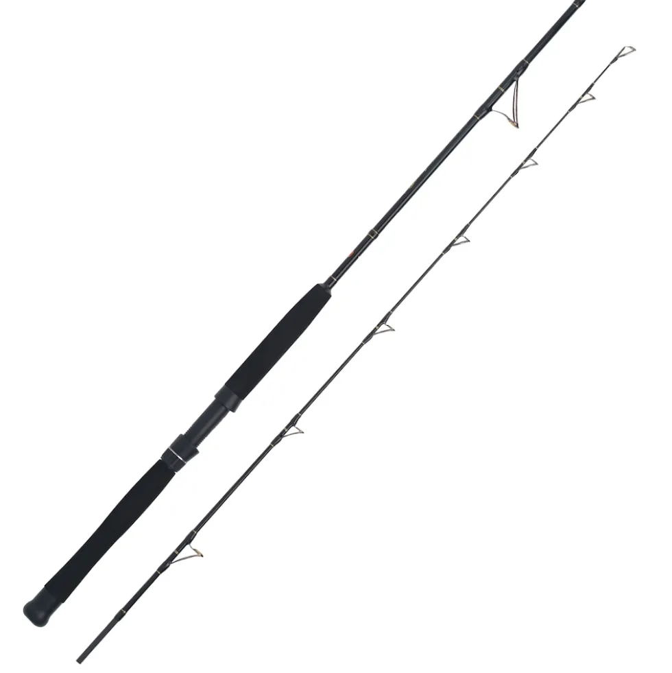 WFT Cool Sea Special Fjord 2pc. 2,10m 42lbs 50-420g Meeresrute