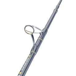 WFT Cool Sea Special Fjord 2pc. 2,10m 42lbs 50-420g Meeresrute