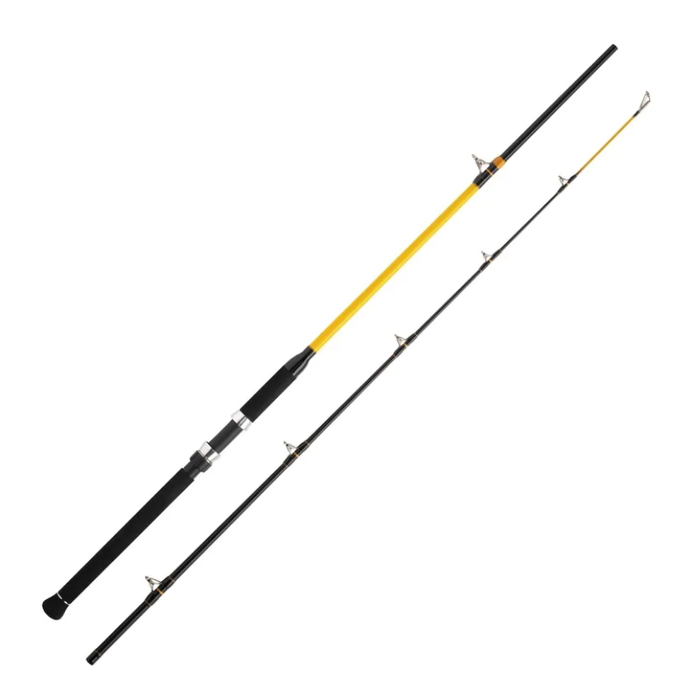 WFT Never Crack Catfish Boat LTC 3,20m 250-1000g Angelrute