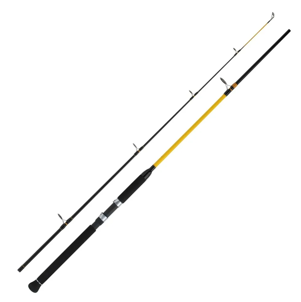 WFT Never Crack Heavy Spin 2,10m 100-400g Norwegen Rute