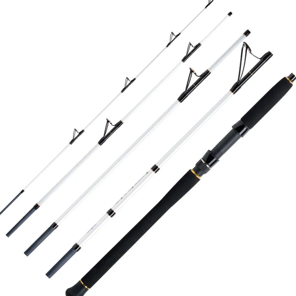 WFT Pollack Jigger Salzmeister 2,65m 20-90g Reiserute 5-Teilig