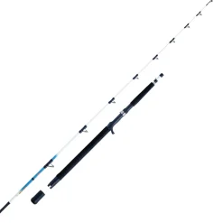 WFT Sen Sea 25lbs 2,10m 30-300g Norwegenrute