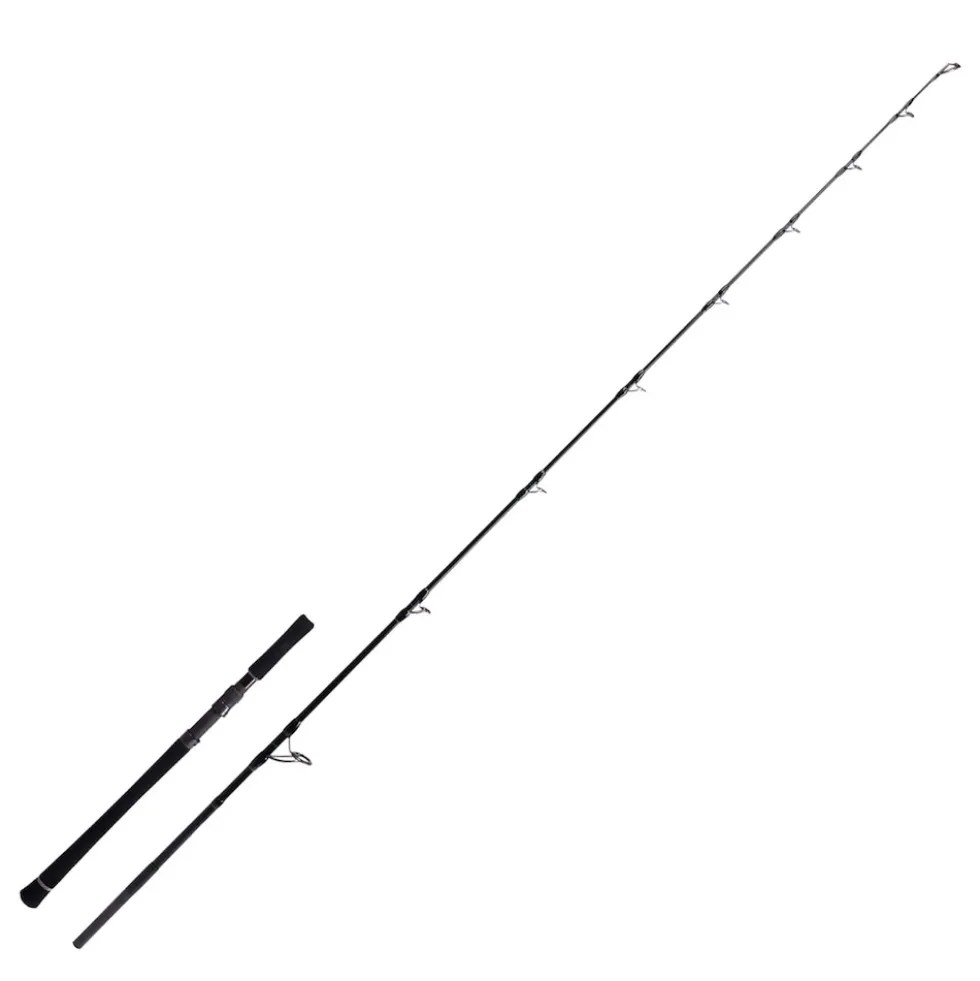 Zeck Evo Cat Vertic 1,90m bis 180g Wels-Vertikalrute