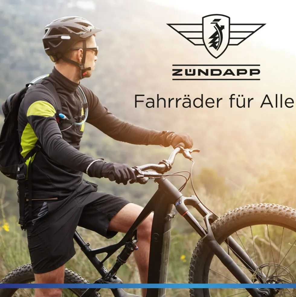 Zündapp Z810 E Bike Herren Trekkingrad ab 175 cm Elektrofahrrad 550 Wh Pedelec Trekking Rad Fahrrad mit 8 Gang und Beleuchtung StVZO