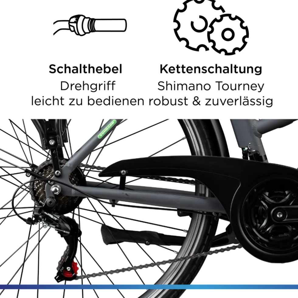 Zündapp Z802 E Bike Trekkingrad Damen ab 160 cm mit Nabenmotor Pedelec Trekking Fahrrad mit 21 Gang und Beleuchtung StVZO